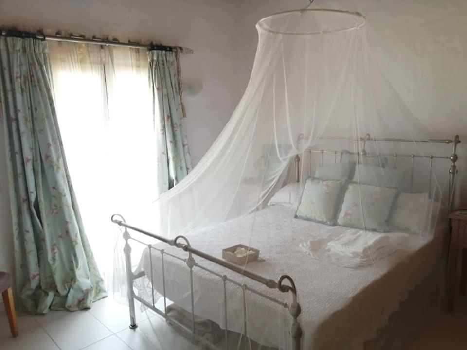 사우 브라스 드 알포르텔 Casa Mimosa B&B 외부 사진