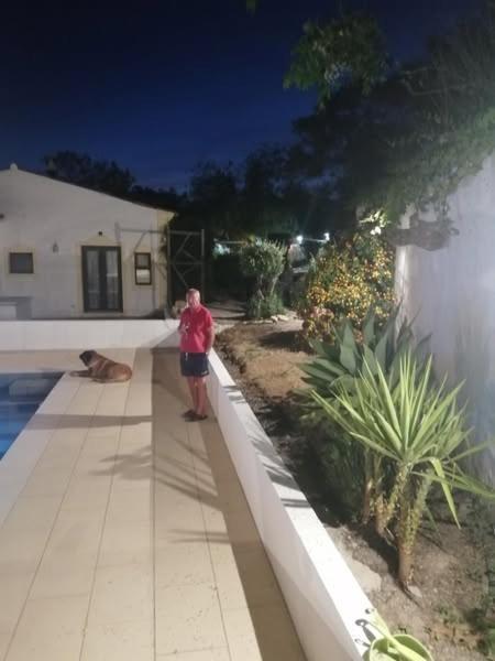 사우 브라스 드 알포르텔 Casa Mimosa B&B 외부 사진